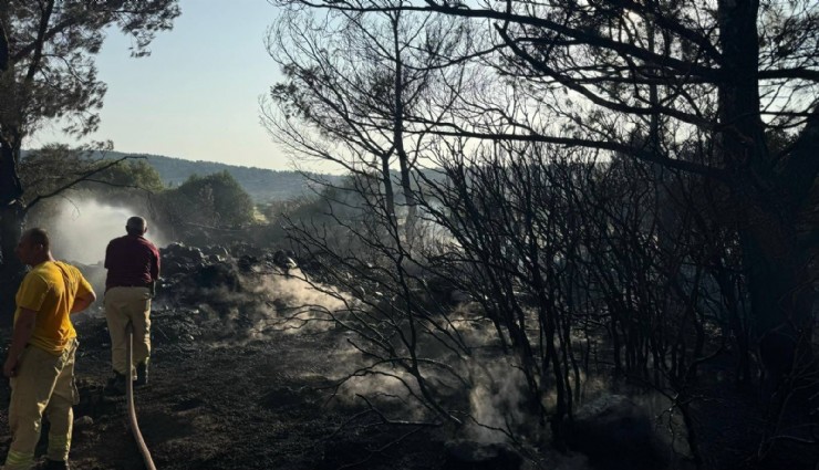 Mangal yakarak orman yangınına neden olan şahıs tutuklandı