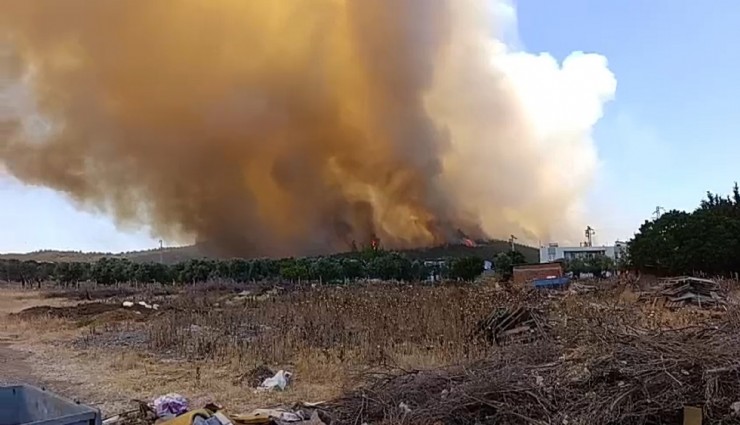 Vali Elban'dan Foça'daki yangına ilişkin açıklama: 