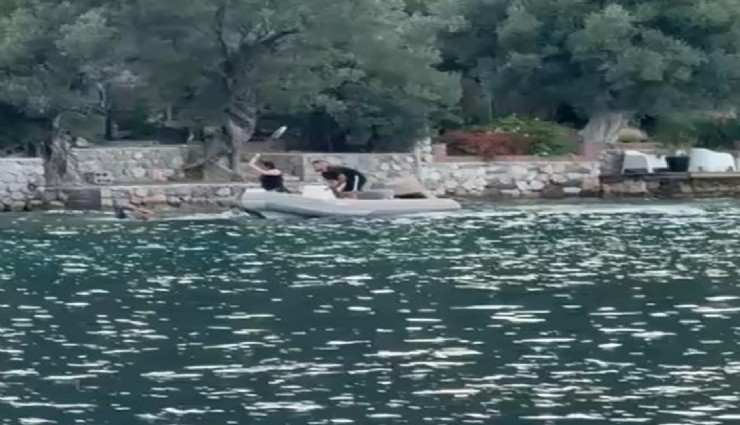 22 yaşındaki gencin öldüğü tekne kavgasında tutuklanan şüphelilerin ifadesi ortaya çıktı