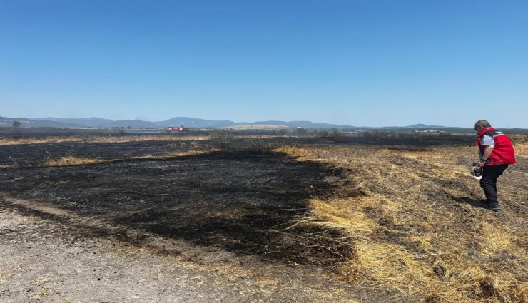 4-22 Temmuz tarihleri arasında meydana gelen 61 orman yangını ile ilgili 23 şüpheli gözaltına alındı, 4’ü tutuklandı