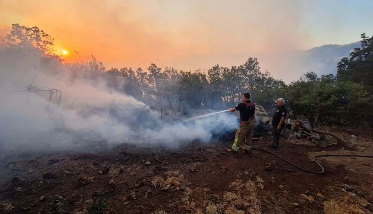 Akhisar’daki orman yangını kontrol altında