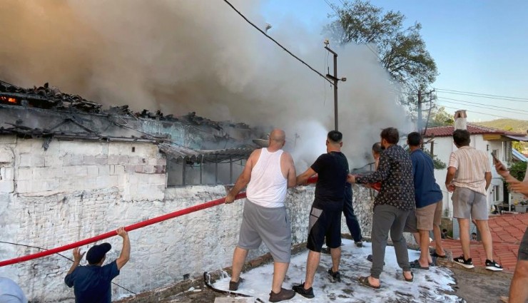 Alevlere karşı insan zinciri