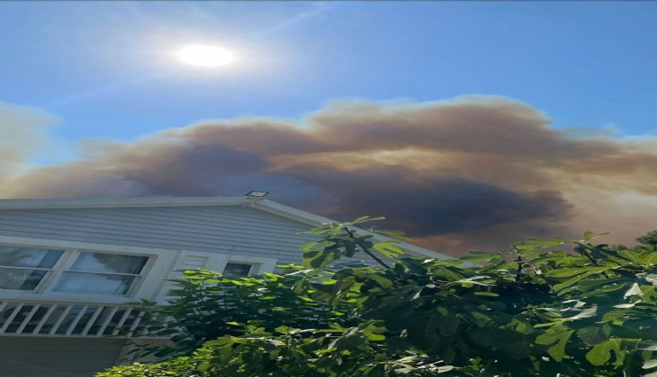 Antalya'daki yangın Bülent Ersoy'un villasına sıçradı