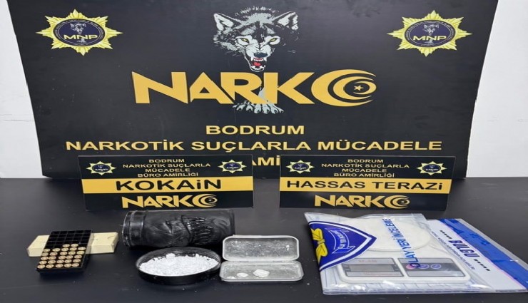 Avrupa'dan Bodrum'a uyuşturucu sevkiyatına darbe: 9 gözaltı