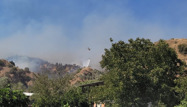 Aydın Valisi Canbolat: 