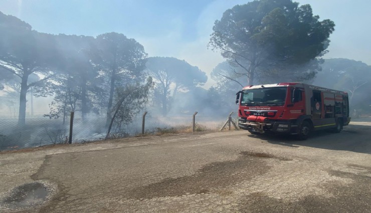 Bergama’da orman yangınına müdahale ediliyor