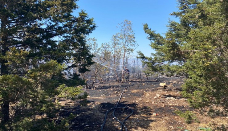Buca’daki orman yangını kontrol altına alındı