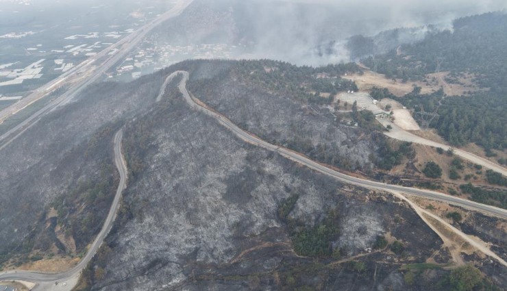 Bursa'daki yangının acı boyutu ortaya çıktı
