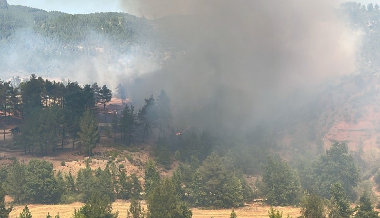 Denizli’de orman yangını