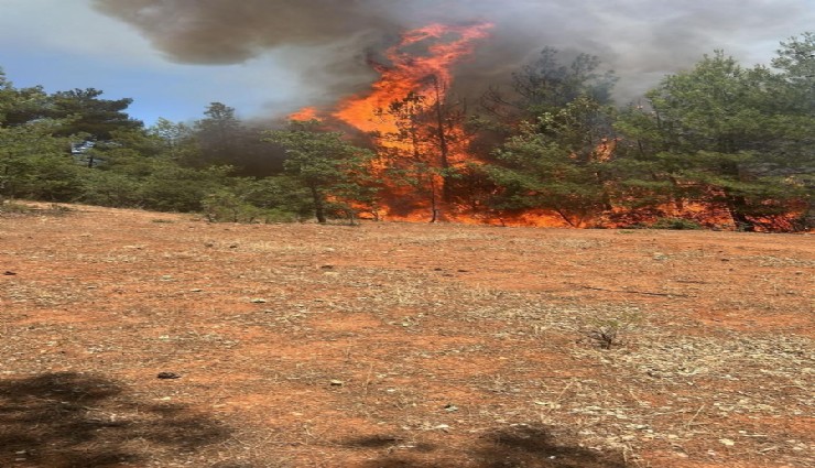 Denizli'de saman basma makinasından başlayan yangın kısa sürede kontrol altına alındı