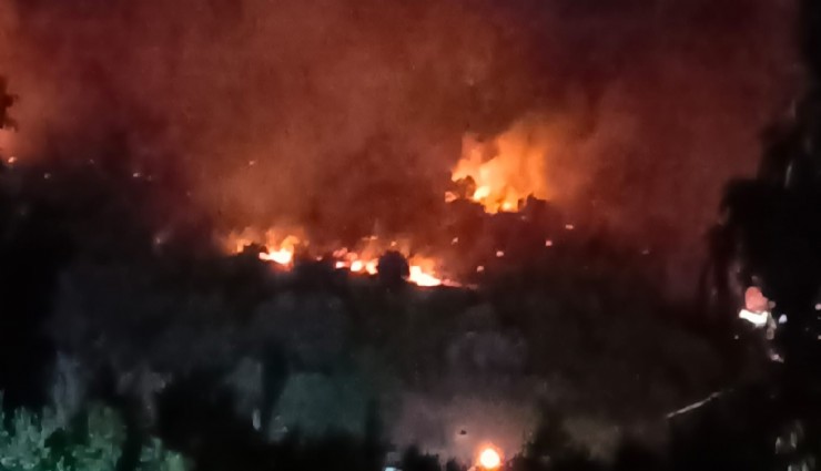 Dikili’de orman yangını: Çanakkale yolu ulaşıma kapatıldı