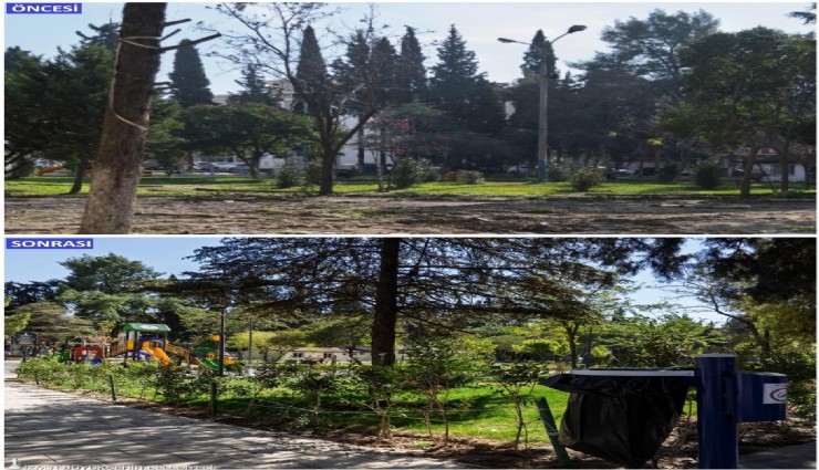 Fırat Yılmaz Çakıroğlu Parkı küllerinden doğdu