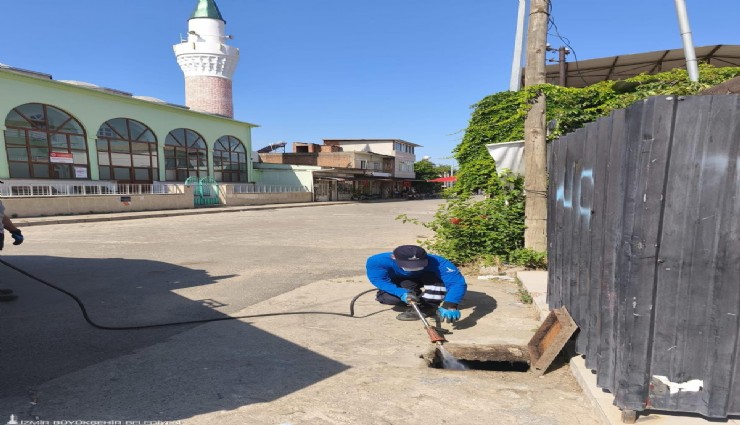 İzmir'de haşereyle mücadele: Tüm ilçelerde ilaçlamalar devam ediyor