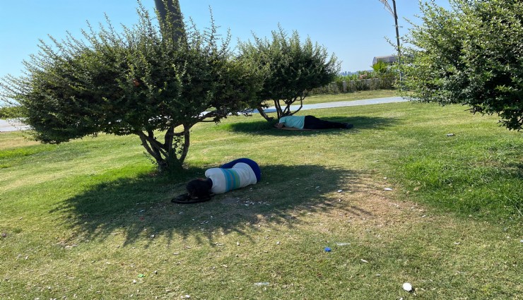 İzmir’de havalar bunalttı: Vatandaşlar ağaç gölgesine sığındı