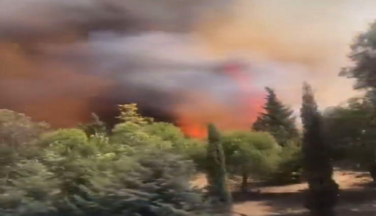 İzmir'de orman yangını: Gökdere yönü trafiğe kapandı