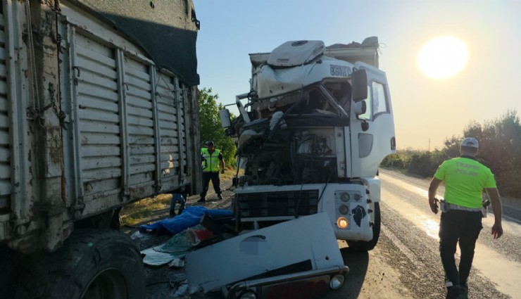 Kamyonundaki arızayı kontrol için inen sürücü başka bir kamyonun altında kaldı