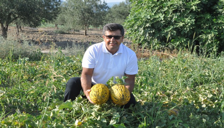 Kırkağaç Kavunu AB’den tescil alan 38. ürün oldu