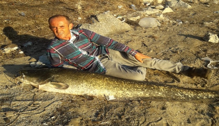 Manisa’da görenleri şaşkına çeviren av: 62 kiloluk yayın balığı yakalandı