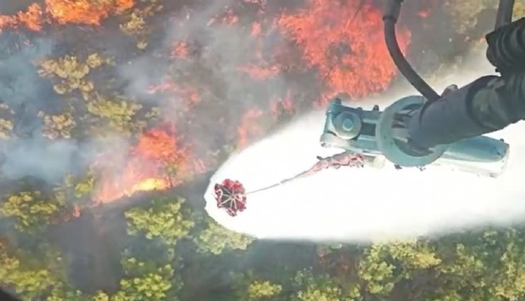 Manisa'da orman yangını kontrol altına alındı