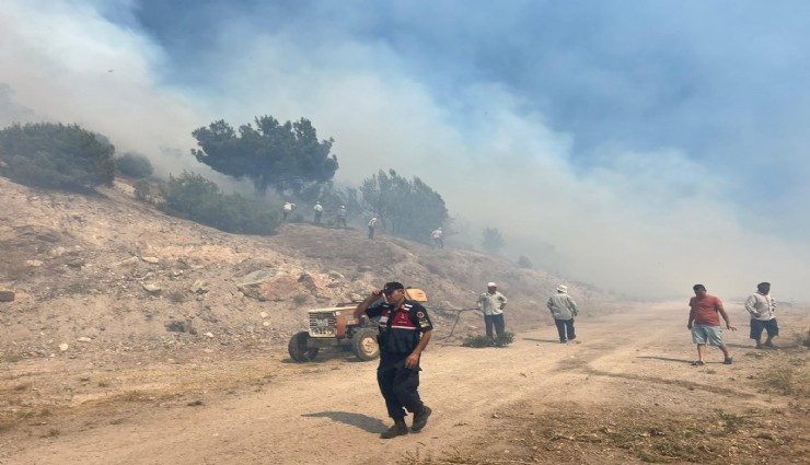 Manisa'daki orman yangını kontrol altına alındı