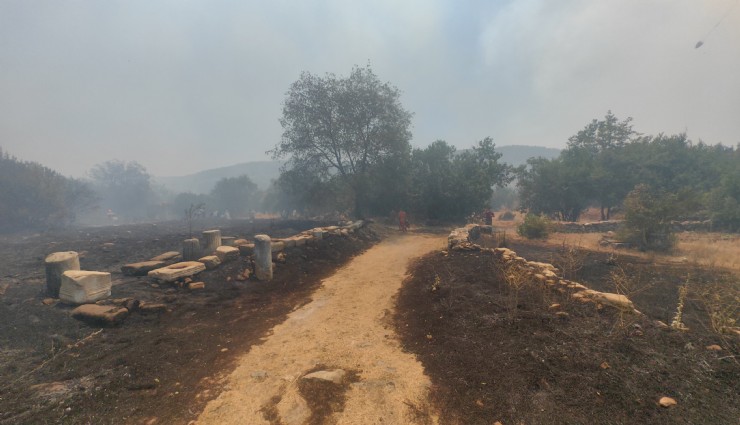 Muğla’daki yangın Stratonikia Antik kentindeki zirai alanda etkili oluyor