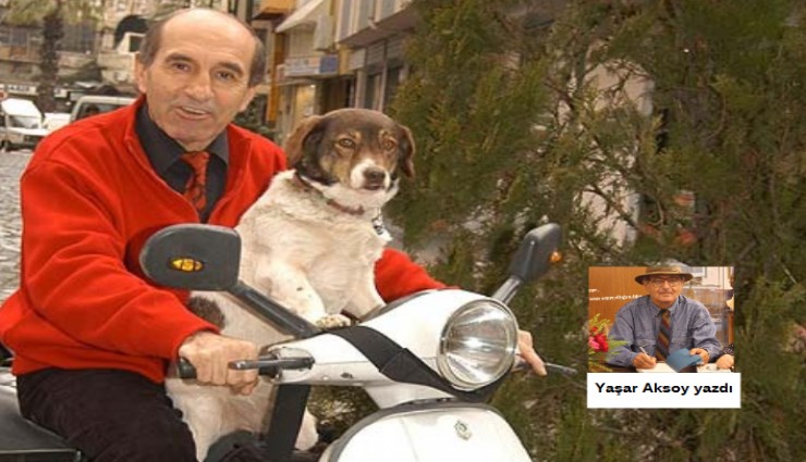 Ormanda çok yaşa Tarık Sarı..