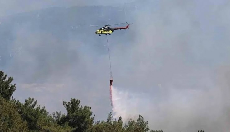 Tarım ve Orman Bakanı Yumaklı: 