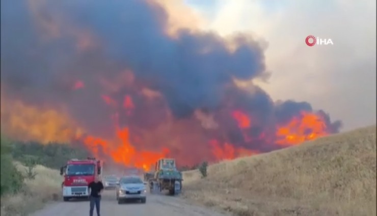 Tekirdağ'daki orman yangını kontrol altına alındı