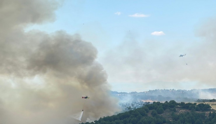 Uşak'ta ormanlık alanda çıkan yangına müdahale devam ediyor