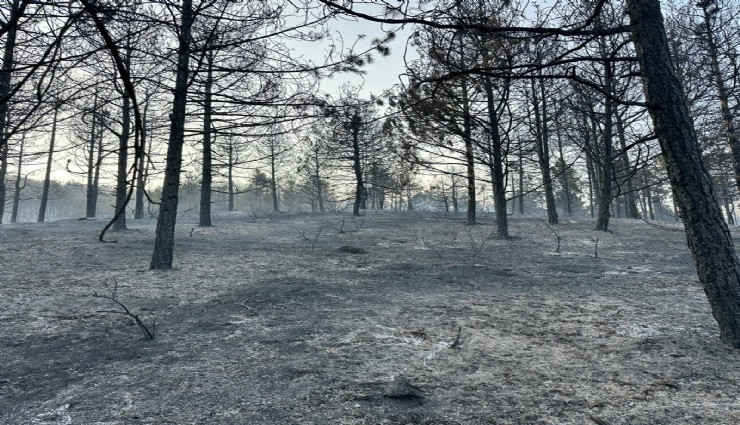 Uşak’taki orman yangını kısmen kontrol altına alındı: Soğutma çalışmaları sürüyor