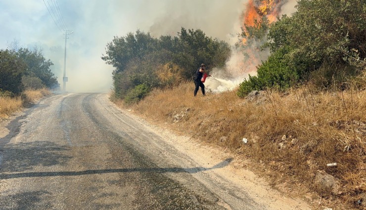 Bodrum’da makilik alanda yangın paniği: 