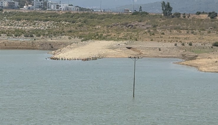 Bodrum’da su alarmı: 