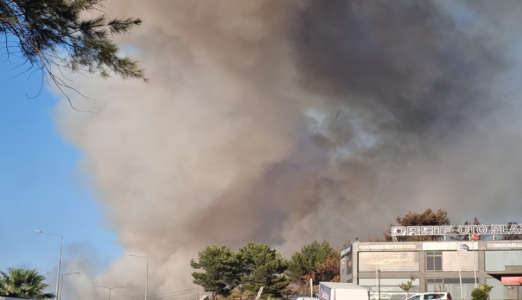 Buca’da korkutan yangın: Altıncı Sanayi Sitesi arkasındaki ormanlık alandan dumanlar yükseldi