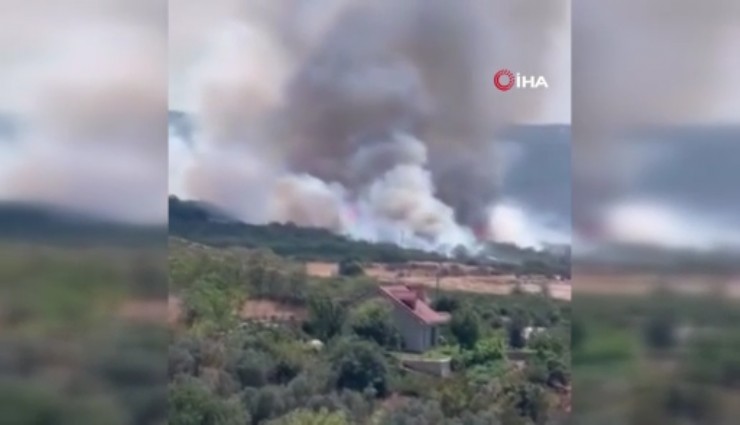 Bursa'da orman yangını