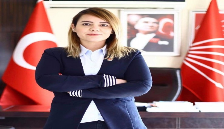 CHP Aydın İl Başkanı Saatçi'nin çocukları istifa ettiğini duyurdu