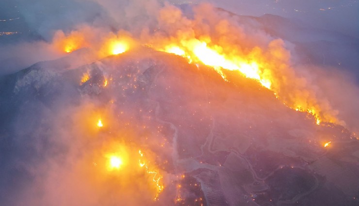 Denizli'de orman yangını 3 gündür sürüyor