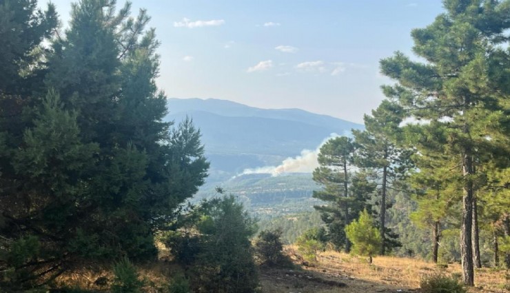 Denizli’de orman yangını: Çok sayıda ekip müdahale ediyor