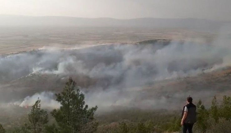 Denizli'deki orman yangını kontrol altına alındı