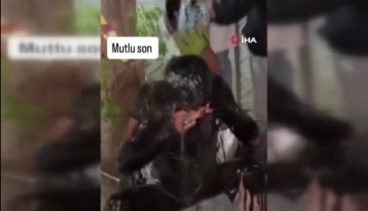 Gelenek değil, eziyet: Damadın üstüne motor yağı döktüler