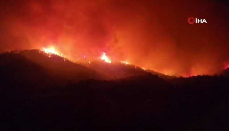 Hatay'da orman yangını : Bölgedeki evler tahliye edildi