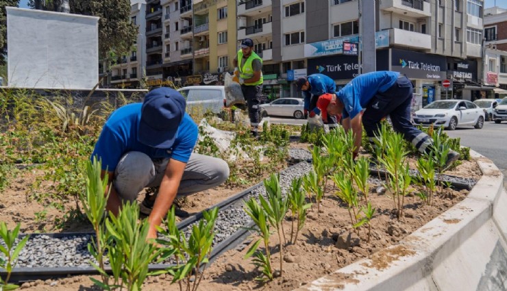 İzmir Büyükşehir Belediyesi'nden kuraklıkla mücadele: Susuzluğa dayanıklı bitkilerle yeşil alanlar