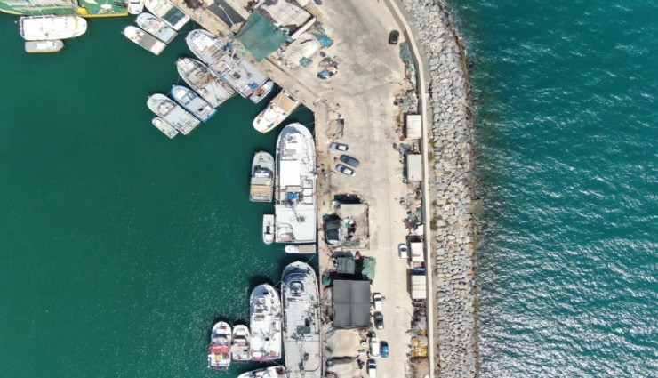 İzmir'de deniz kirliliği balıkçıları vurdu: Ege'de balıkçılar sardalyasız sezona hazırlanıyor