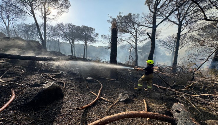 İzmir İtfaiyesinin ateşle imtihanı: Bergama’da büyük mücadele