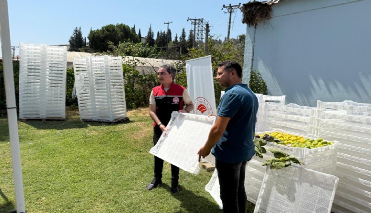 Kuru incirde aflatoksin ve okratoksinle mücadele için üreticilere 19 bin kerevet dağıtıldı