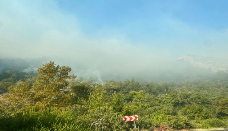 Mersin Anamur'daki orman yangını sürüyor, ekipler havadan ve karadan müdahale ediyor