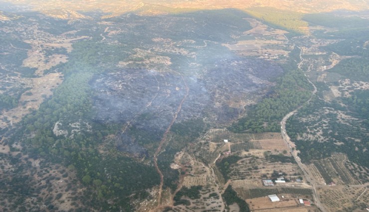 Muğla'daki orman yangını kontrol altına alındı