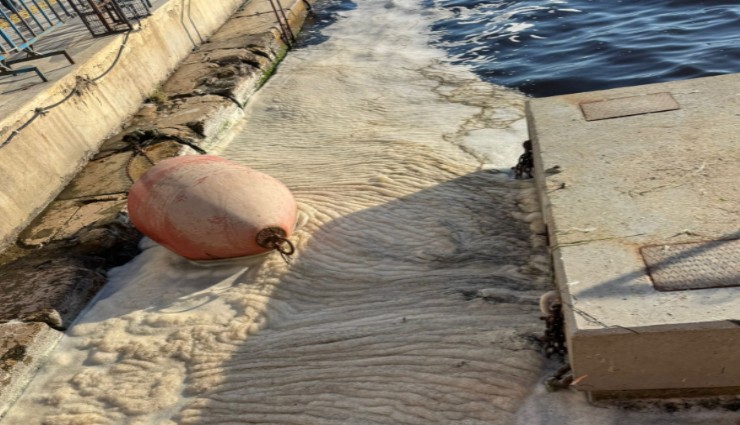 Prof. Doğan Yaşar açıkladı: İzmir'de müsilaj alarmı