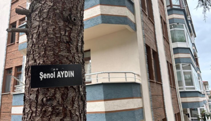 Trabzon Çamlık Altı Sitesi'nde vefat eden sakinlerin isimleri ağaçlarda yaşıyor