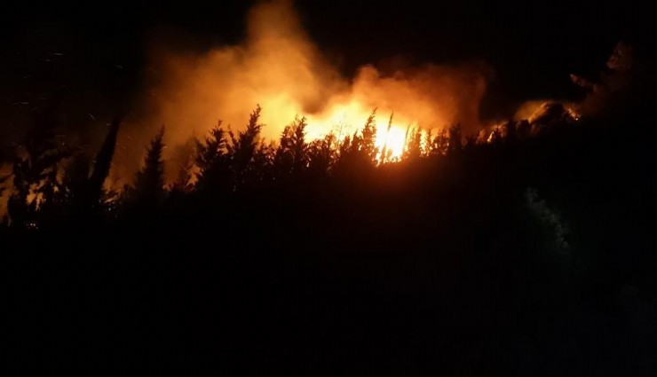 Urla’daki yangına havadan ve karadan müdahale