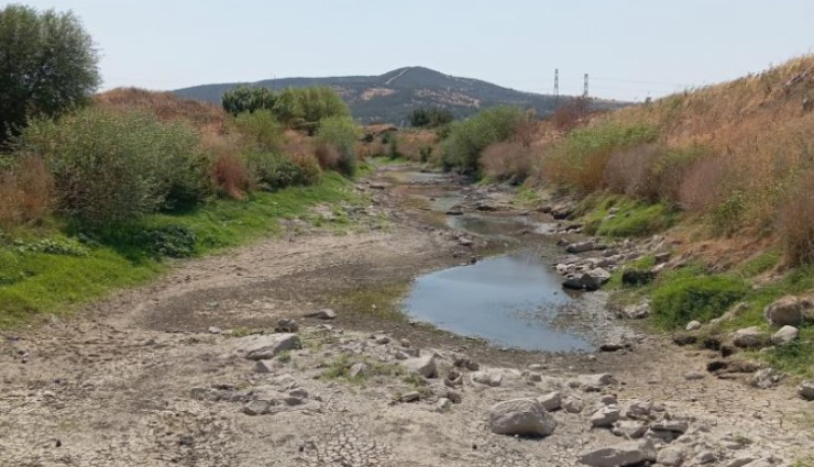 Bakırçay kuruyor, çiftçi isyan ediyor: 